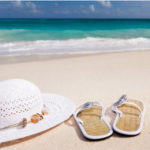 Spot goes on holiday - Groep 1-4